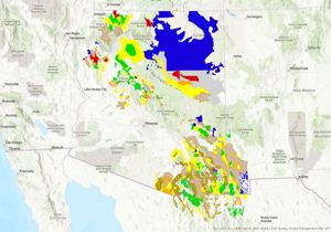 AZ grassland assessment
