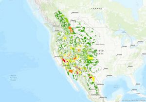 Conservation Areas from Ecoregional Assessment