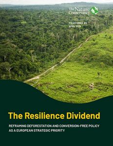 Cover image for The Resilience Dividend policy brief.