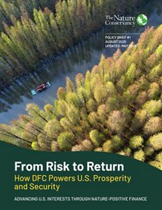 Cover image for From Risk to Return policy brief.
