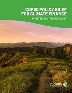 Cover image for COP30 Policy Brief for Climate Finance.