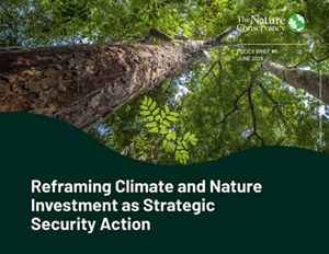 Cover image for Reframing Climate and Nature Investment as Strategic Security Action.