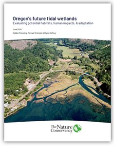 cover of report.