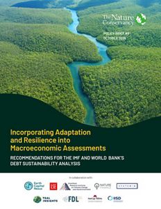 Cover image for "Incorporating Adaptation and Resilience into Macroeconomic Assessments".