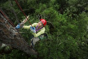 A professional climber climbing the side of a mountain