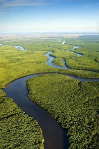 A dark winding river runs through thick green forests.