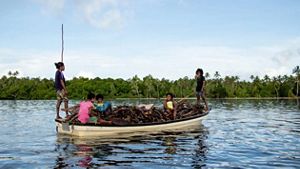 group of people on fishing boat full of firewood from mangroves.