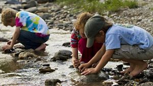 Three children kneel in a shallow creek to play and enjoy the clean water.