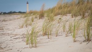 Grass grows on sand dune with lighthouse in background.