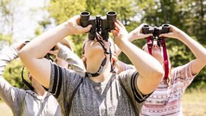 A group of people looking through binoculars up into the air.