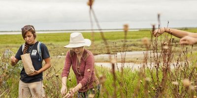 Thr Nature Conservancy