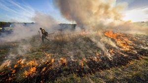 Controlled burn in Oregon.