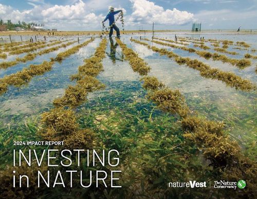 NatureVest Impact Report Cover 2024, showing seaweed harvest.