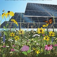 Cover of Illinois smart solar pollinator doc.