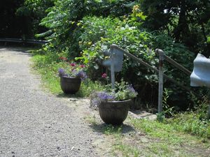 Beautiful planters with flowers are situated at an entrance point of a property. 