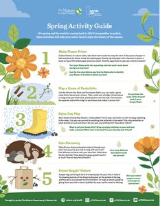 Spring Activity Guide 