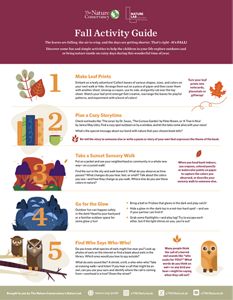 Fall Activity guide