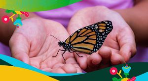 a young girl holds a butterfly in her hands.