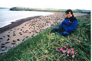 A man wearing a blue jacket sits in a grassy area that overlooks seals lying along a beach.