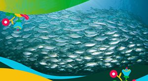 Fish swimming in the ocean