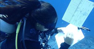 Girl in the ocean in scuba gear assessing reef health.