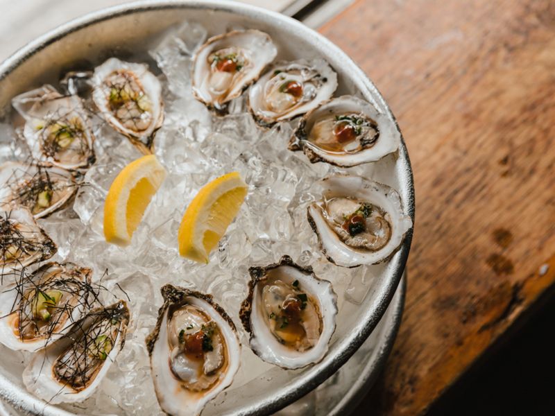 Raw oysters on the half shell are artfully arranged on a serving plate garnished with mint leaves.