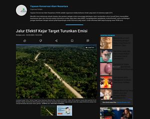 Pemandangan indah hutan kalimantan timur