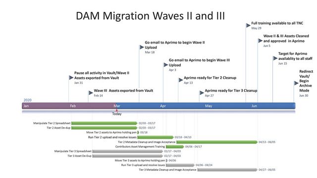 Timeline with milestones and tasks for the TNC Aprimo waves 2 & 3 migrations