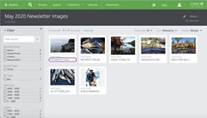 Screenshot of clicking on file name of image in Aprimo DAM