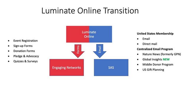 Luminate Online transition diagram shows email going to SAS and forms going to Engaging Networks