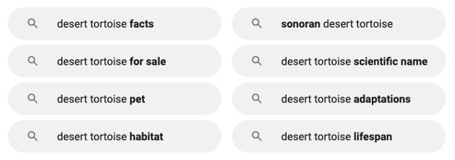 Screenshot of related searches in Google search results.