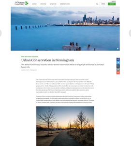 Thumbnail of example page in article detail template.