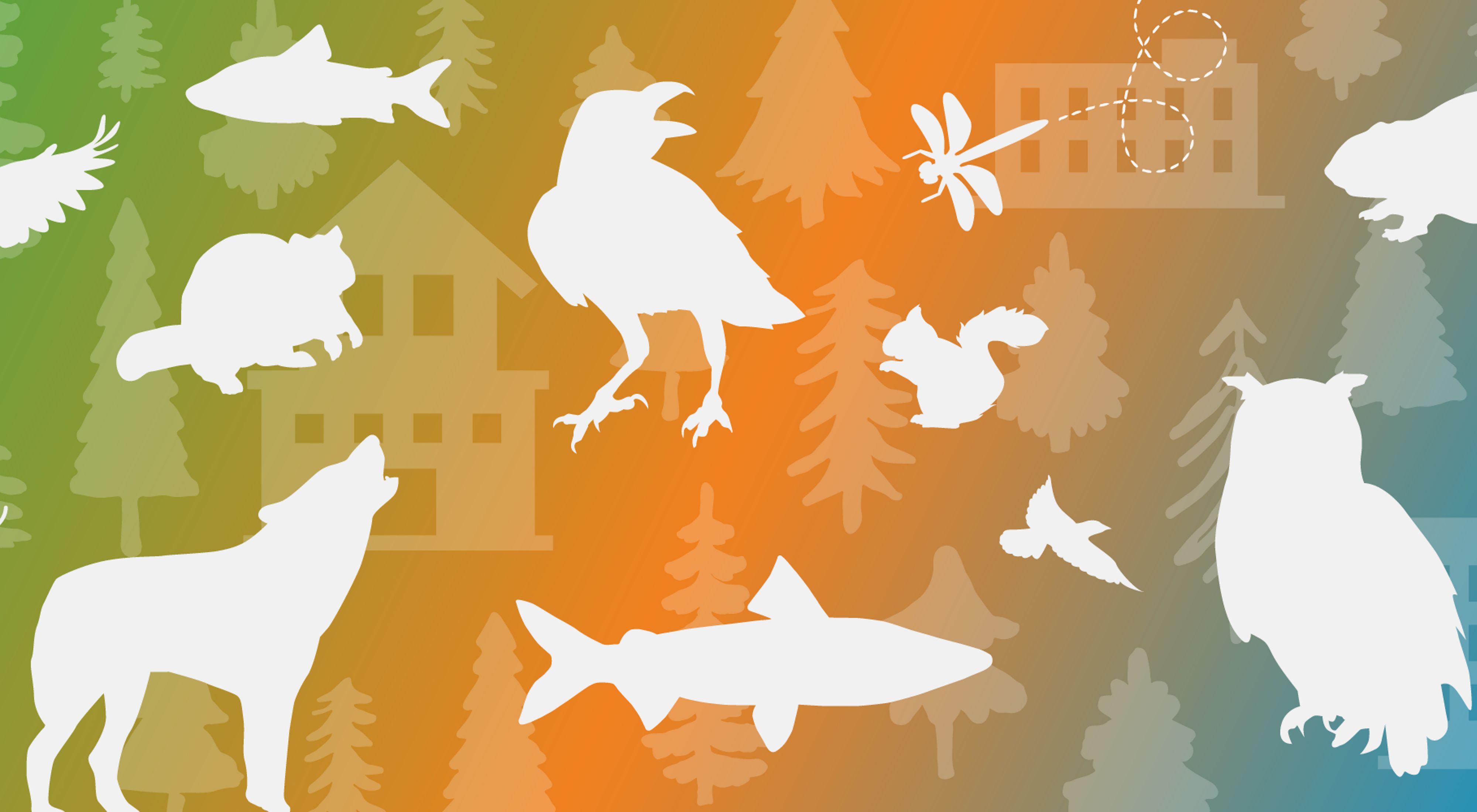 Outlines of different species of wildlife over a colorful background. 