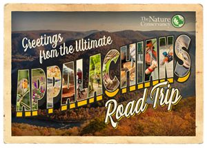 The word "appalachians" stretches across a postcard.