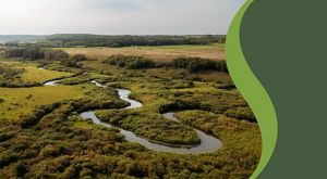 A winding river cuts through a green field, seen from above.
