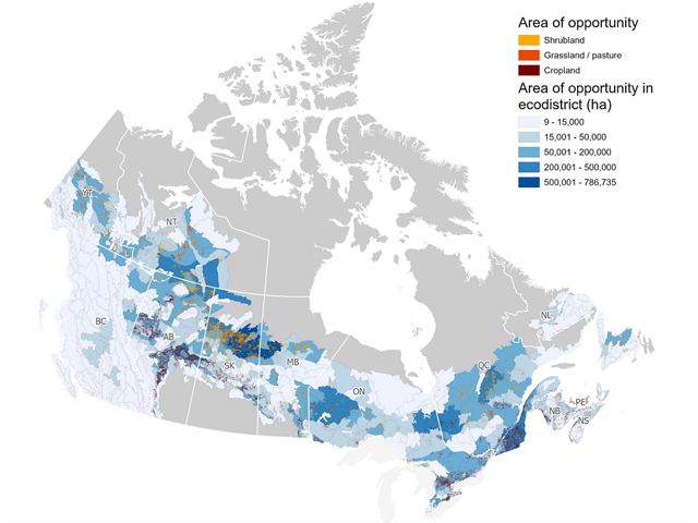 Map of forest restoration opportunities in Canada.