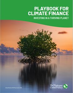 Playbook for climate finance cover. 