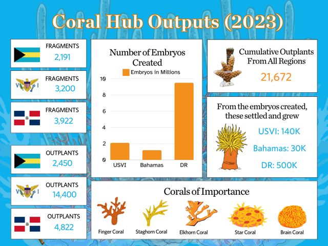 An infographic showing data from the three Coral Hubs across the Caribbean.