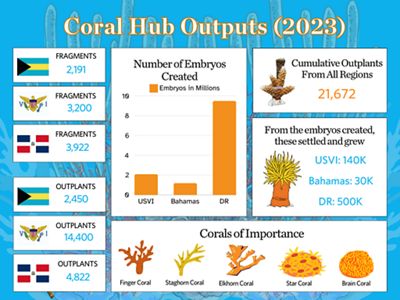 An infographic showing data from the three Coral Hubs across the Caribbean.