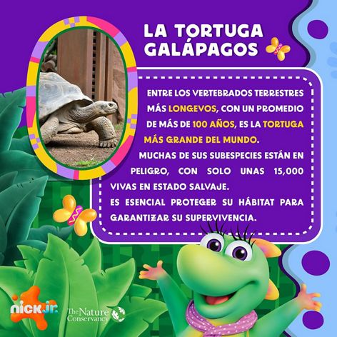 Dora la Exploradora recorre Latinoamérica: Ecuador.