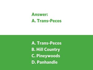 A black bear with a brown snout and paws naps on the ground by the trunk of a tree.