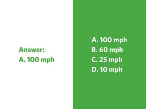 A cluster of small brown bats in flight.