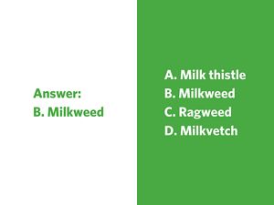 An orange butterfly with black streaks and white dots sits on a cluster of yellow, red, and pink flowers.