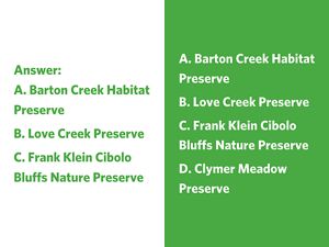 A bird with a yellow head and brown and white feathers.