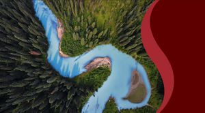 A glacial river winds through a dense forest, seen from above