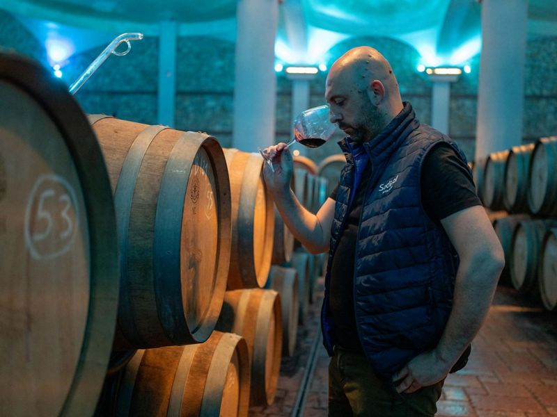 A healthy Vardar River helps the grapes on Andon Krstevski's vineyard produce wine for Stobi Winery.