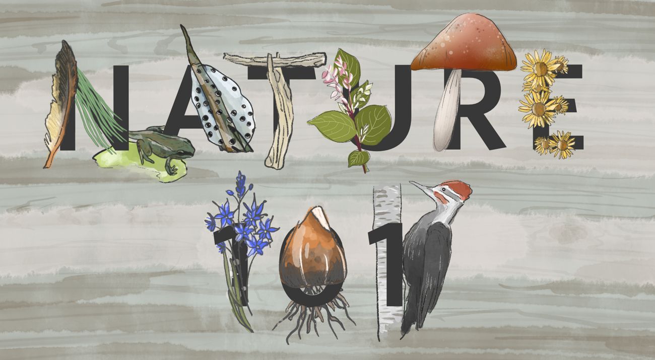 nature 101 graphic.