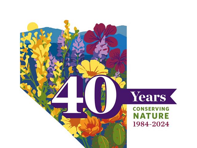 An illustration of colorful native wildflowers inside the Nevada state outline.