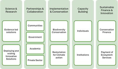 A graphic depicting five pillars of TNCC.