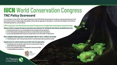 A graphic of TNC's policy scorecard for the IUCN World Conservation Congress.